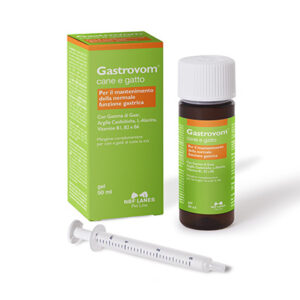 . Gastrovom NBF LANES