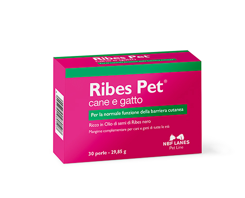 Ribes Pet NBF LANES