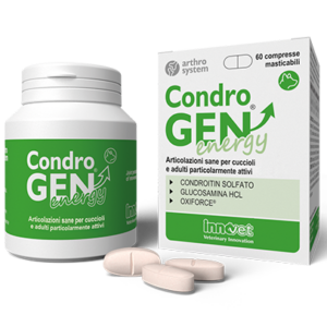 Condrogen® Energy