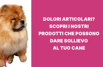 promo-3 dolori articolari