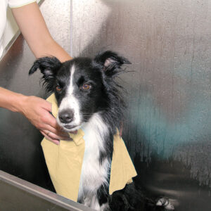 Asciugamano per animali Show Tech Magic Towel 66x43x0,2 cm 1