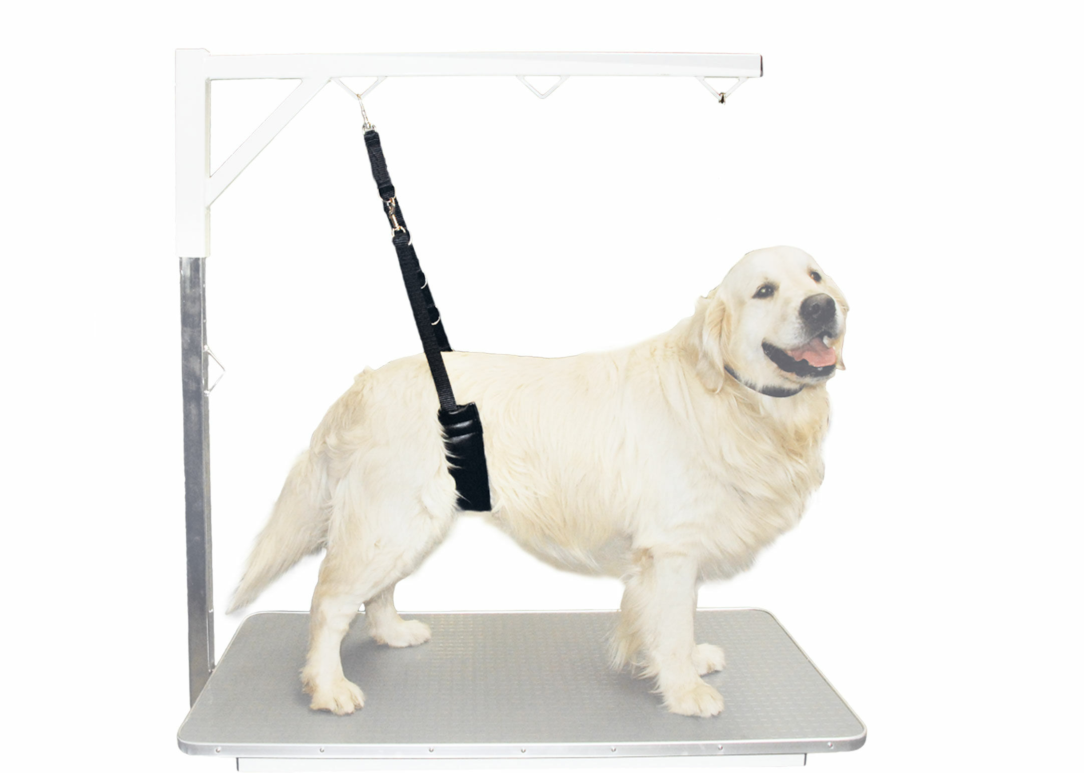Fascia Addominale Show Tech Comfort per Cani di Taglia Grande 2