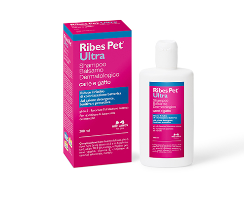 Ribes Pet Ultra cane e gatto Shampoo Balsamo Dermatologico