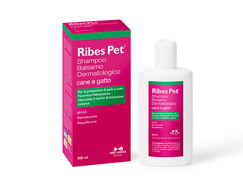 Ribes Pet cane e gatto Shampoo Balsamo Dermatologico