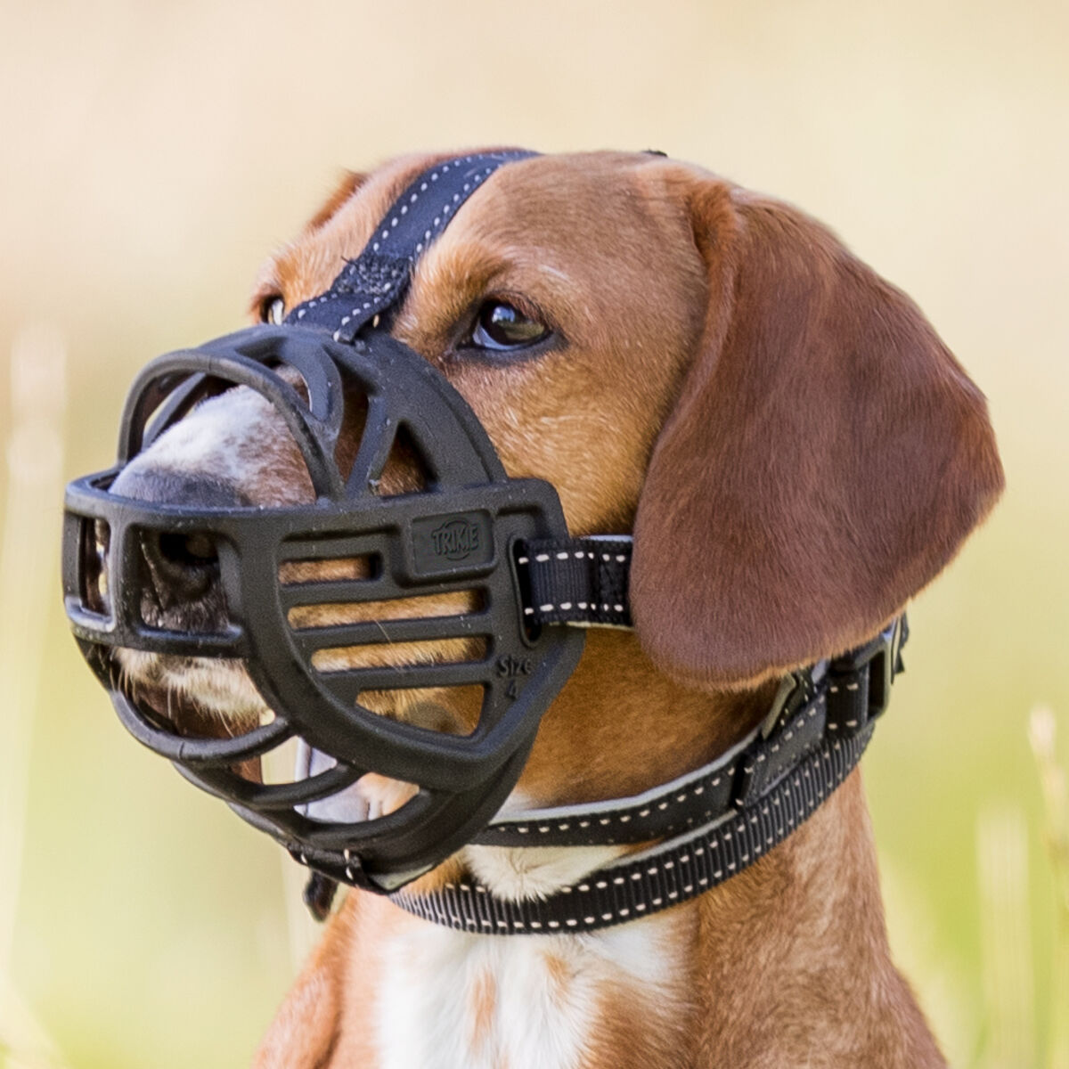 Museruola Muzzle Flex in gomma - immagine 6