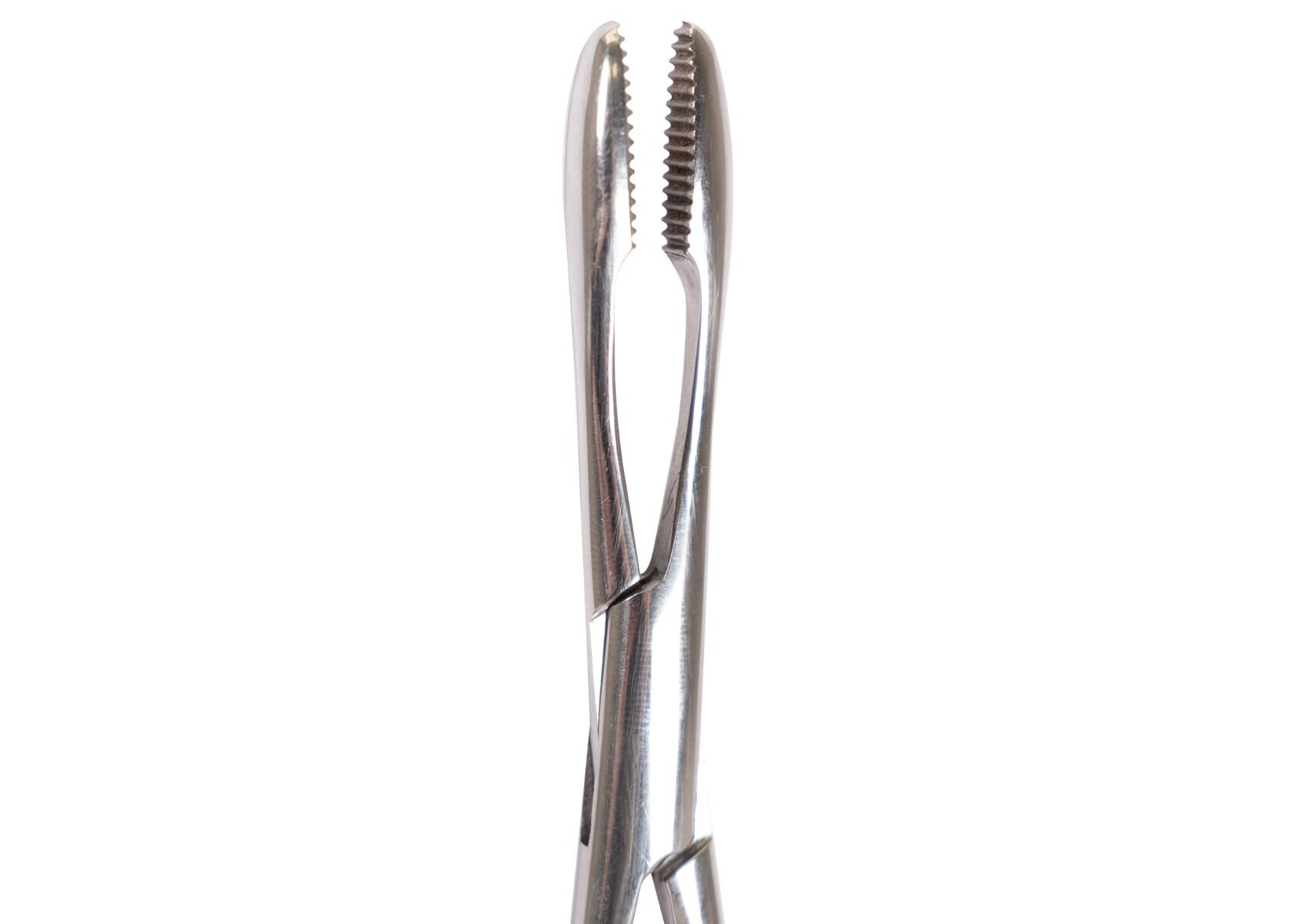 Show Tech+ Pinze per orecchie con sicura 14 cm 4