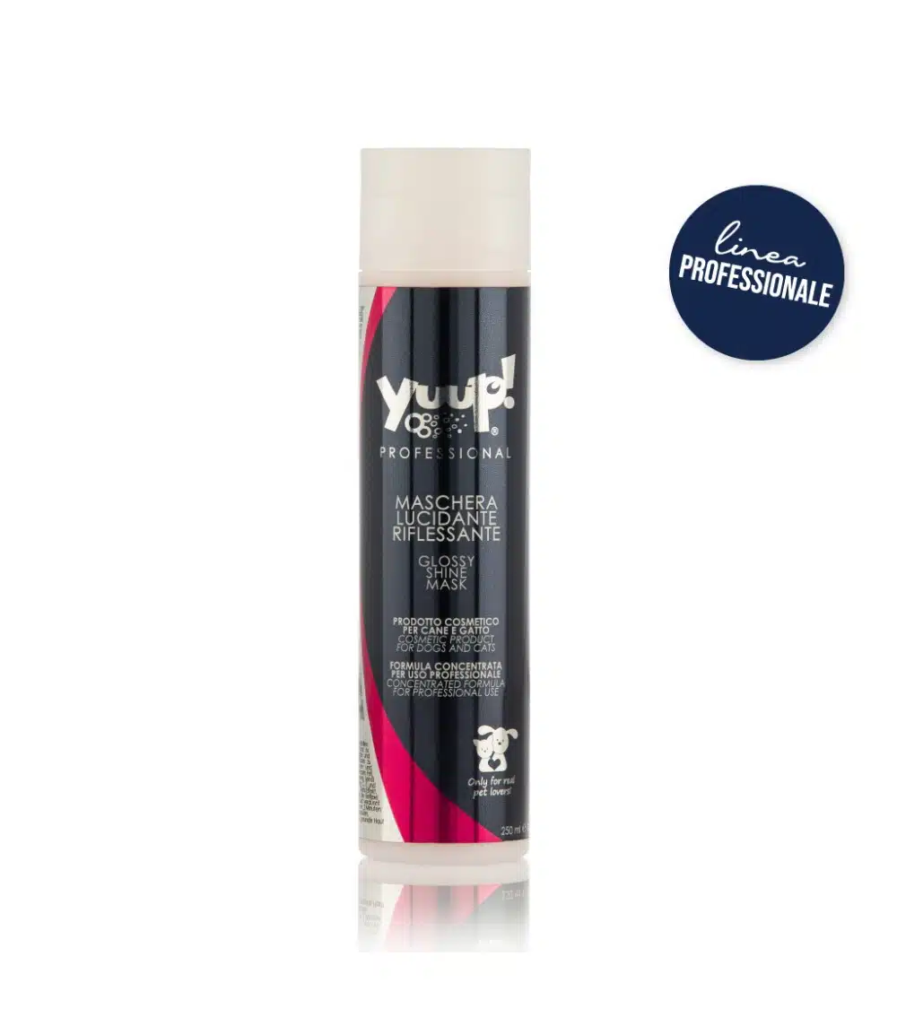 Maschera Lucidante Riflessante YUUP 250ml