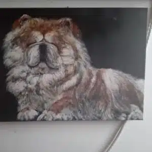 Quadro Chow Chow 1