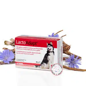 LactoAdapt