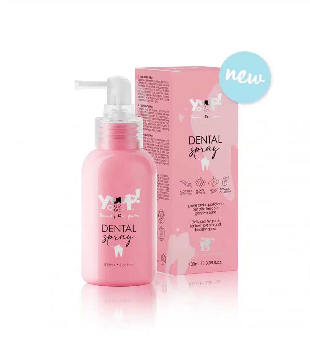 Dental Spray 100ml YUUP