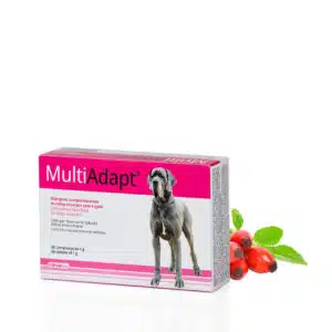 MultiAdapt®