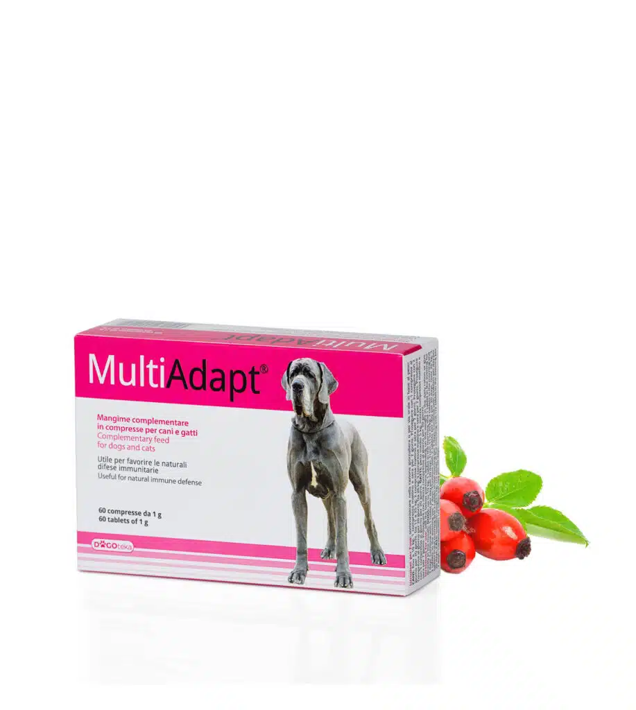 MultiAdapt®