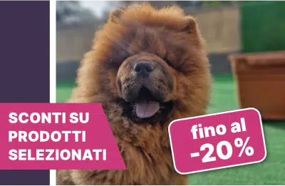 offerte e sconti la boutique del chow chow
