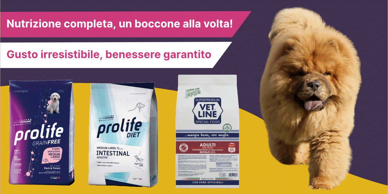slide-1-gen-2025@2x Slide 1 alimenti secchi