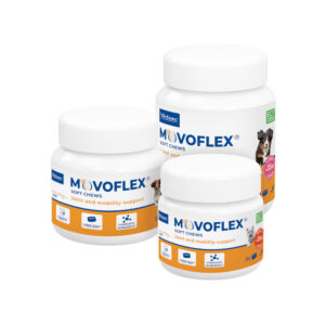 Movoflex® Soft Chews Cane