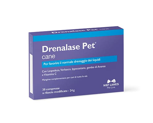 Drenalase Pet Cane