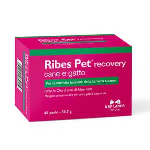 Ribes Pet Recovery